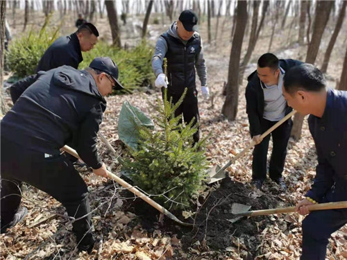 黑龙江省五常市工商联组织春种一棵树秋收万倾林植树活动