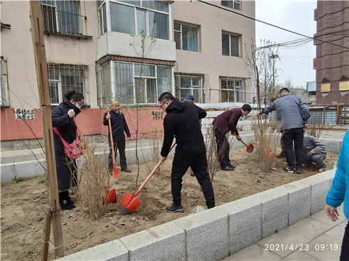 吉林市船营区政协法制委开展义务植树活动