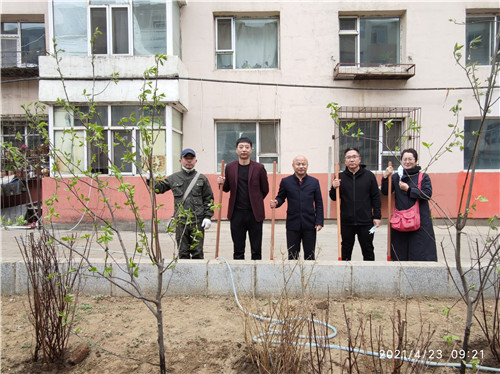 吉林市船营区政协法制委开展义务植树活动