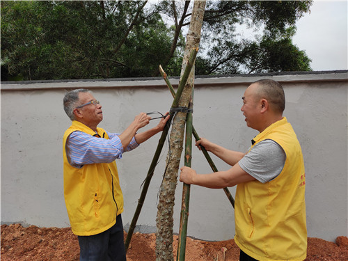 广东惠州:党员志愿者与民警携手义务植树